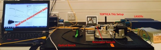 Terahertz measurement setup measuring the resonant feature of semiconductor plasmonic resonator