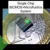 Single Chip System